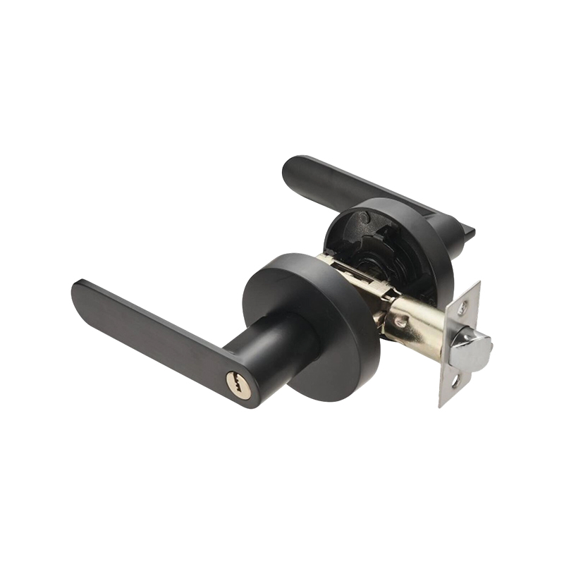 Cerradura de puerta con palanca tubular BL-E en color negro mate