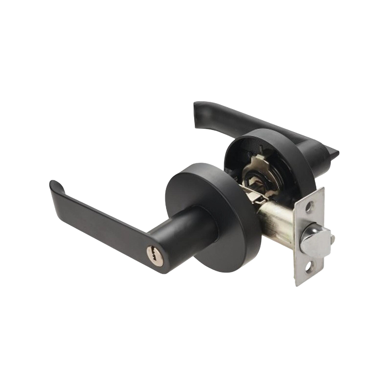 Cerradura de puerta con palanca tubular Matt Black-BL-BK-572Z